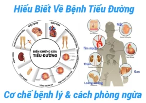 Hình ảnh minh họa các biến chứng nguy hiểm của bệnh tiểu đường như tim mạch, suy thận, tổn thương mắt và cách phòng ngừa hiệu quả.
